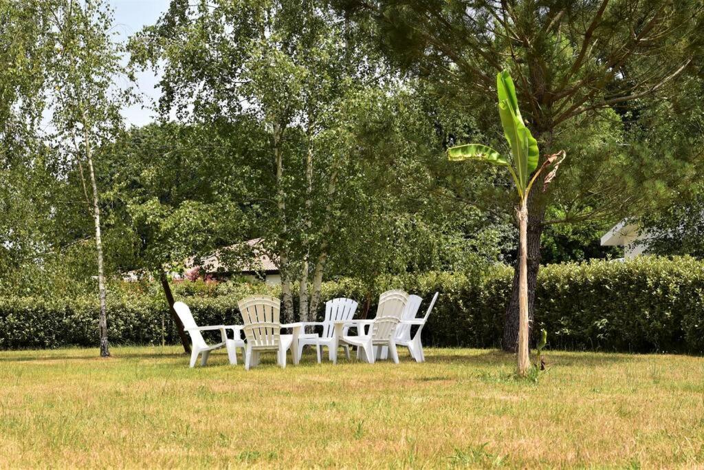 Bénesse-Maremne Calm House, Swimming Pool And Gardenヴィラ エクステリア 写真